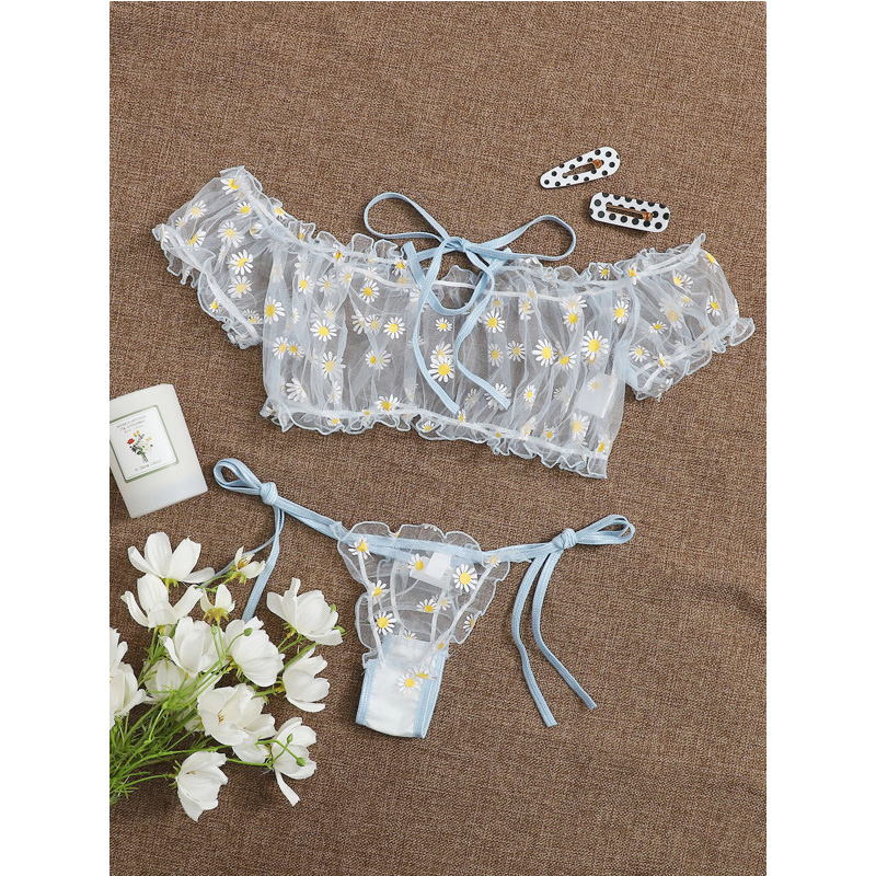 Sexy Lace Transparent Lingerie - Sheer Bra Lace incelemesi ve fiyatı